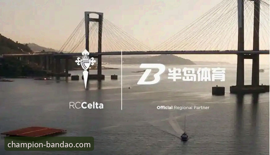 半岛体育平台资深用户亲历：手把手解决“半岛体育官网使用教程安装失败”难题